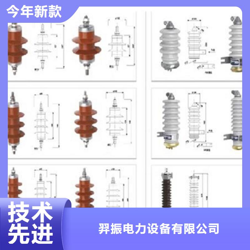 瓷外套金属氧化物避雷器Y10W-200/496