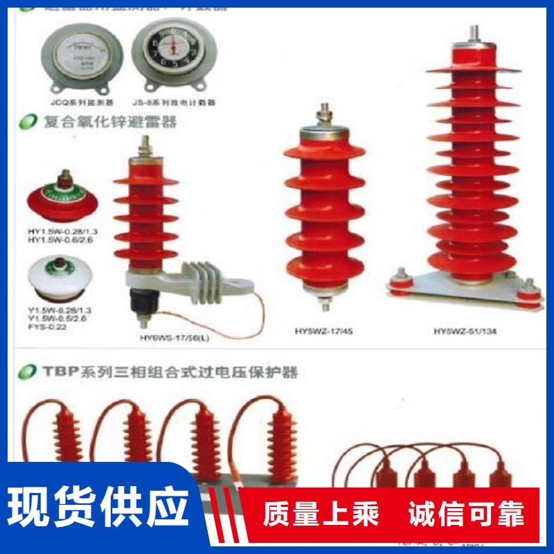 避雷器YH10CX5-100/260，放电计数器【羿振电气】