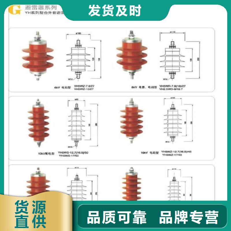 【应用范围广泛<羿振>】可卸式避雷器HY5WS-17/50DL-TB