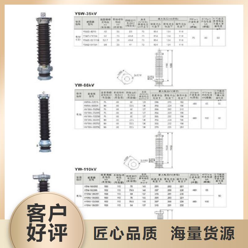 避雷器Y10W-312/760W 上海羿振电力设备有限公司