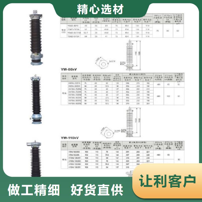 避雷器YH5WS1-52.7/134【上海羿振电力设备有限公司】