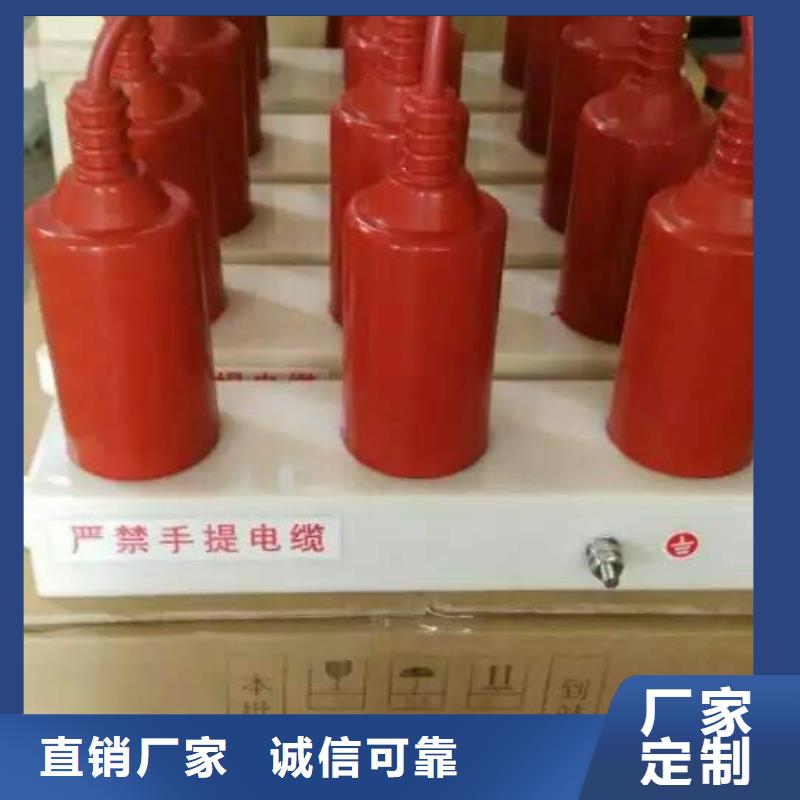 保护器(组合式避雷器)TBP-Y-B/3-F组合过电压保护器