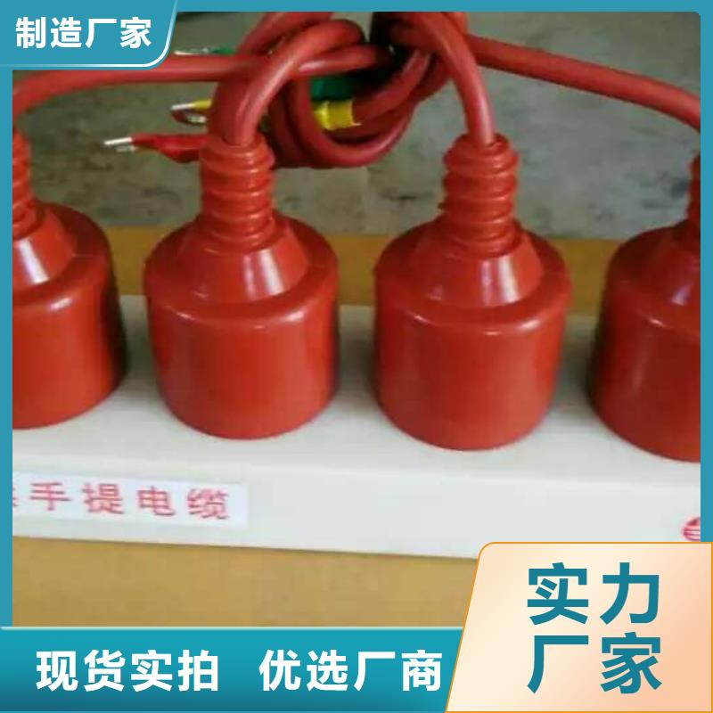 过电压保护器(组合式避雷器)TBP-A-42/630W2