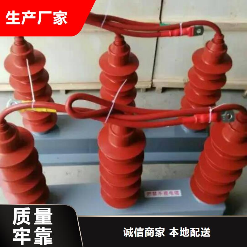 保护器(组合式避雷器)TBP-C-42/630W2