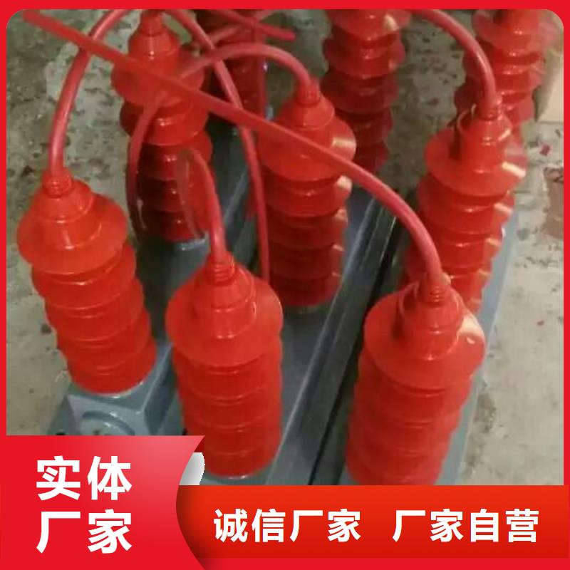 【避雷器/过电压保护器】TBP-C-7.6/131