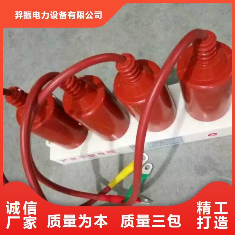 保护器(组合式避雷器)TBP-Y-C/6-F组合过电压保护器