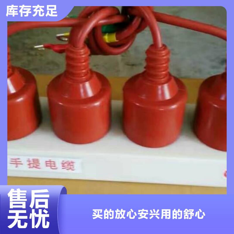 过电压保护器(组合式避雷器)TBP-A-42/630W2