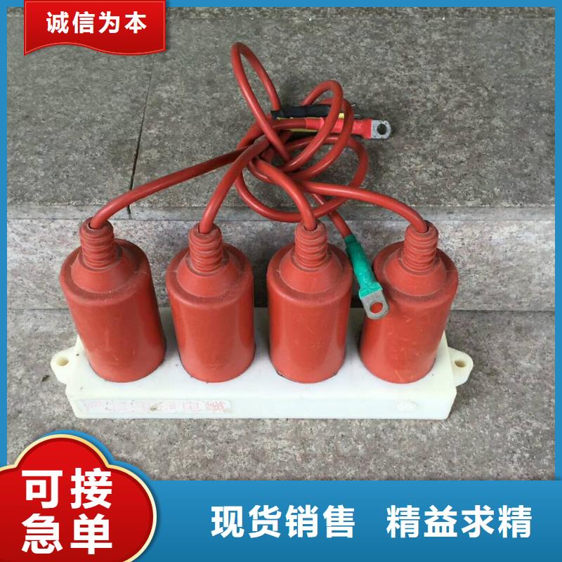 保护器(组合式避雷器)TBP-W-C/6-F组合过电压保护器