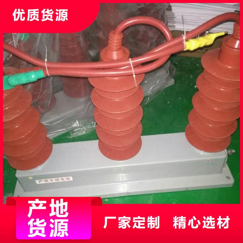 保护器(组合式避雷器)TBP-Y-C/6-F组合过电压保护器