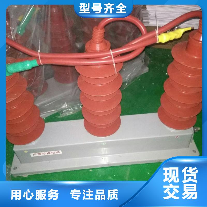 【避雷器/过电压保护器】TBP-C-7.6/131