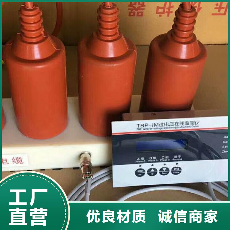 保护器(组合式避雷器)TBP-C-42F/400W1