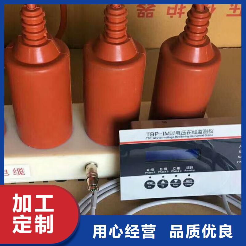 过电压保护器(组合式避雷器)TBP-A-42/630W2