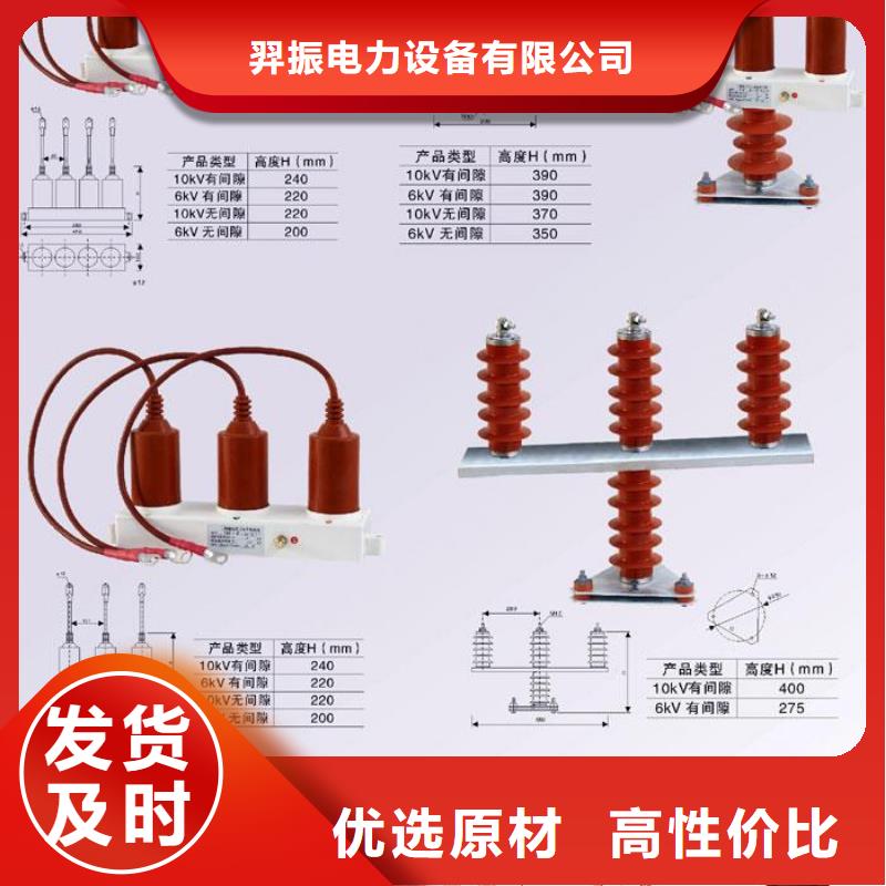 保护器(组合式避雷器)TBP-B-12.7/150-J