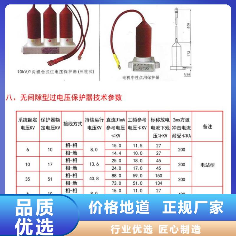 过电压保护器(组合式避雷器)TBP-C-12.7F/85-J