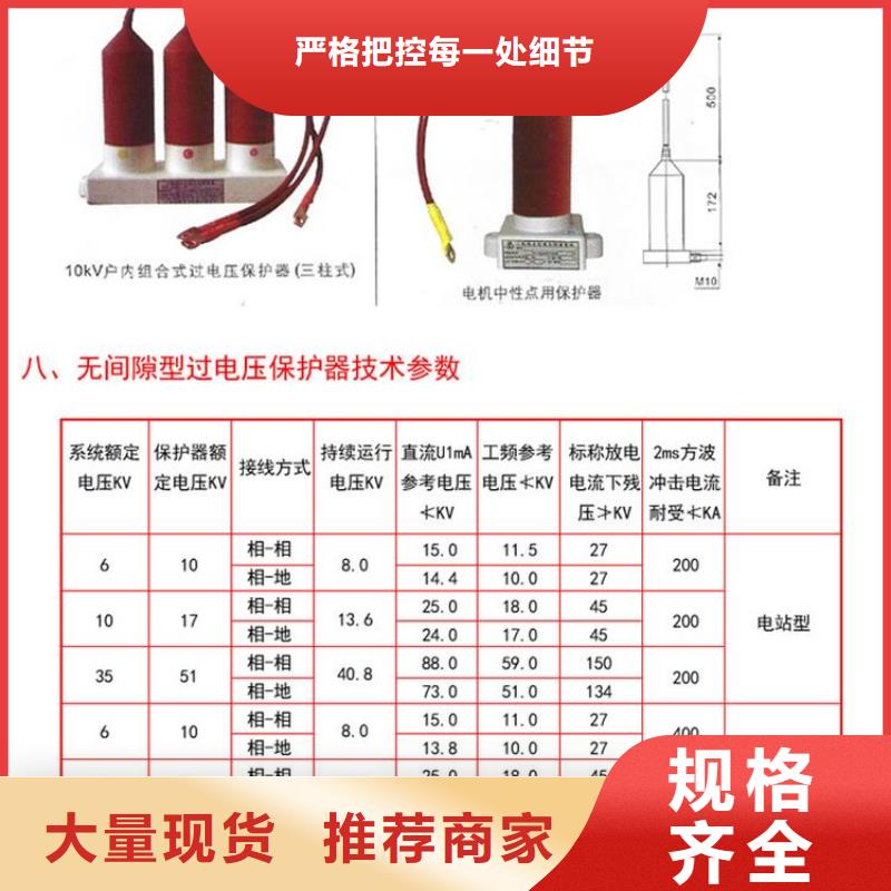 保护器(组合式避雷器)SCGB-A-42-F