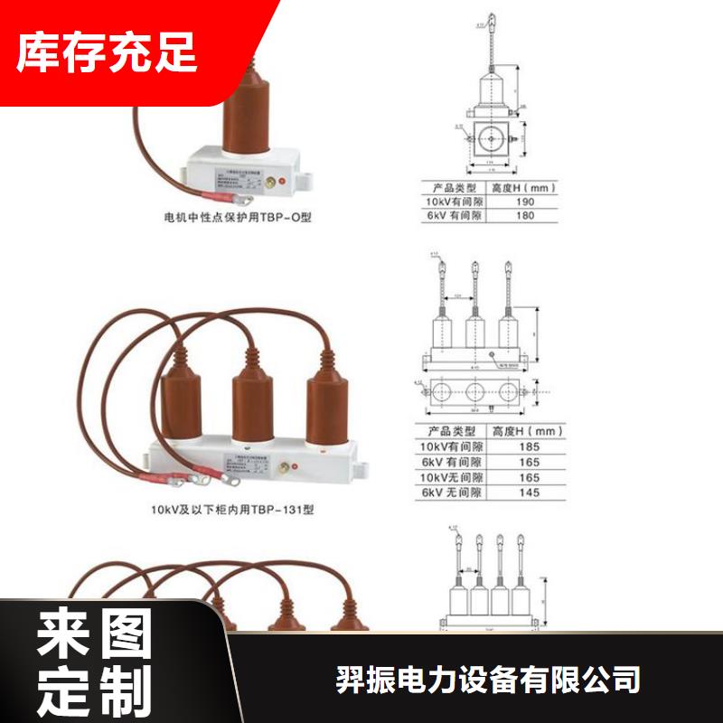 过电压保护器(组合式避雷器)BSTG-B-42F/310