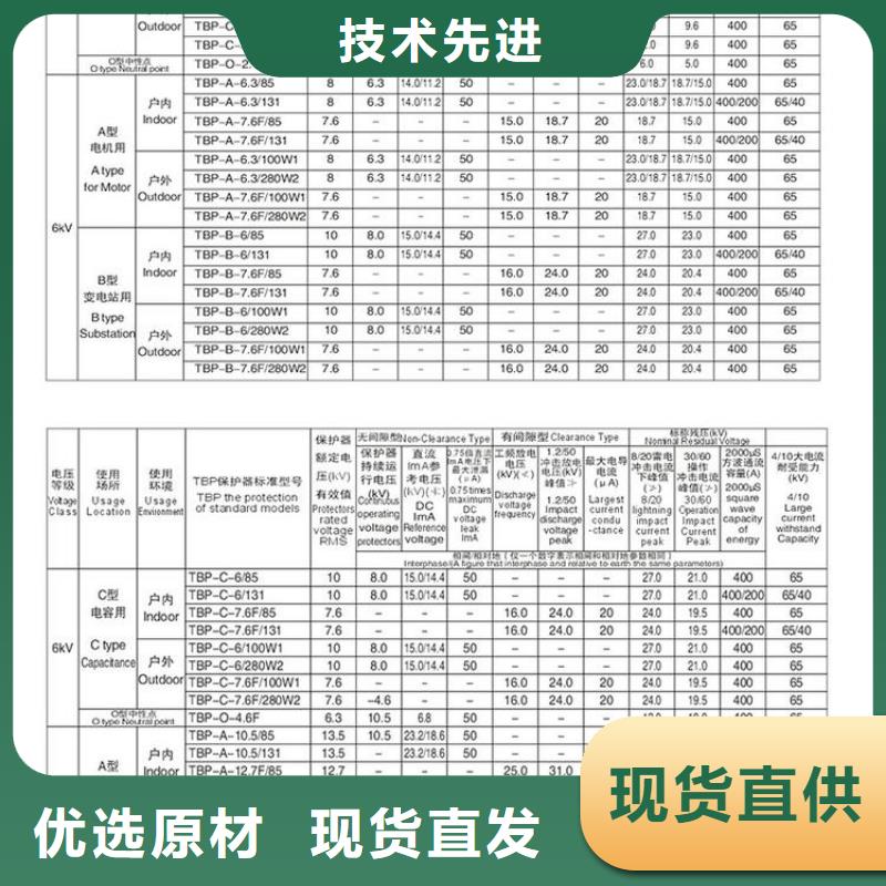 过电压保护器(组合式避雷器)BSTG-C-6.3