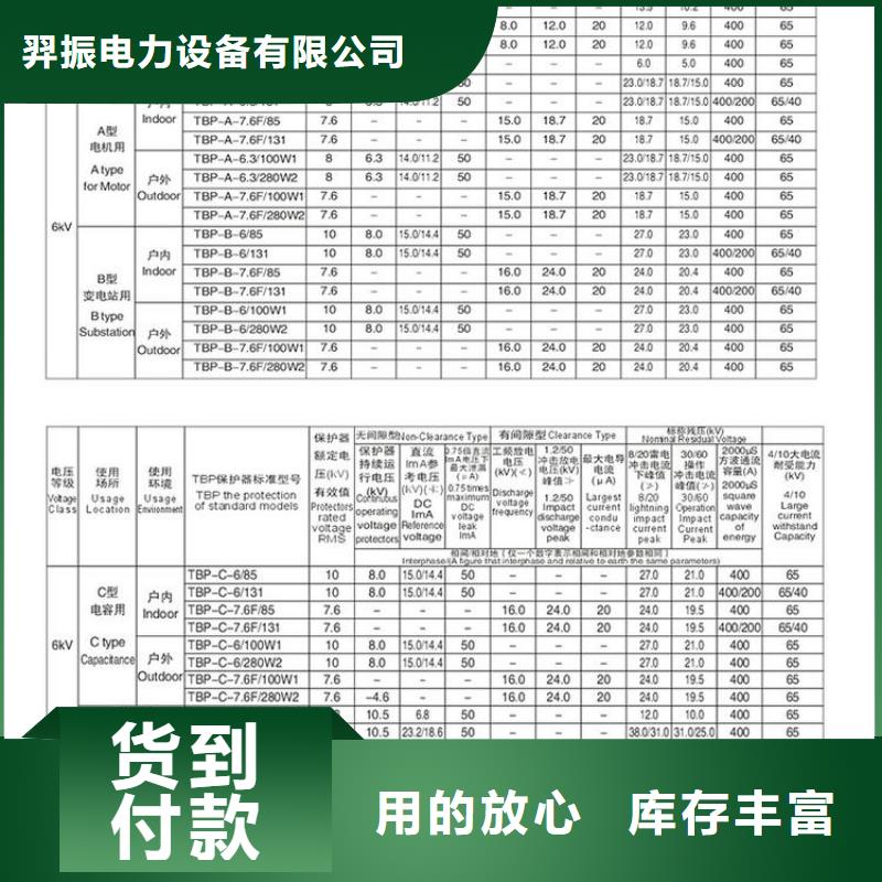 【过电压保护器/组合式避雷器】TBP-C-42F/630W2