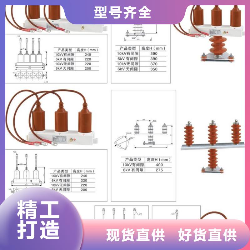 过电压保护器(组合式避雷器)TBP-C-12.7F/85-J