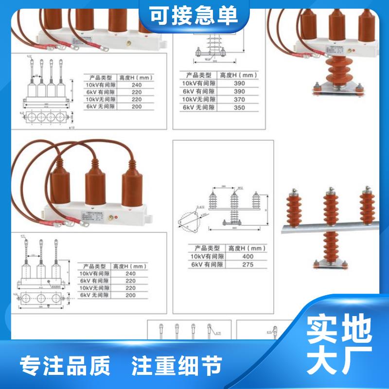 〖过电压保护器〗TBP-A-42F/310厂家现货