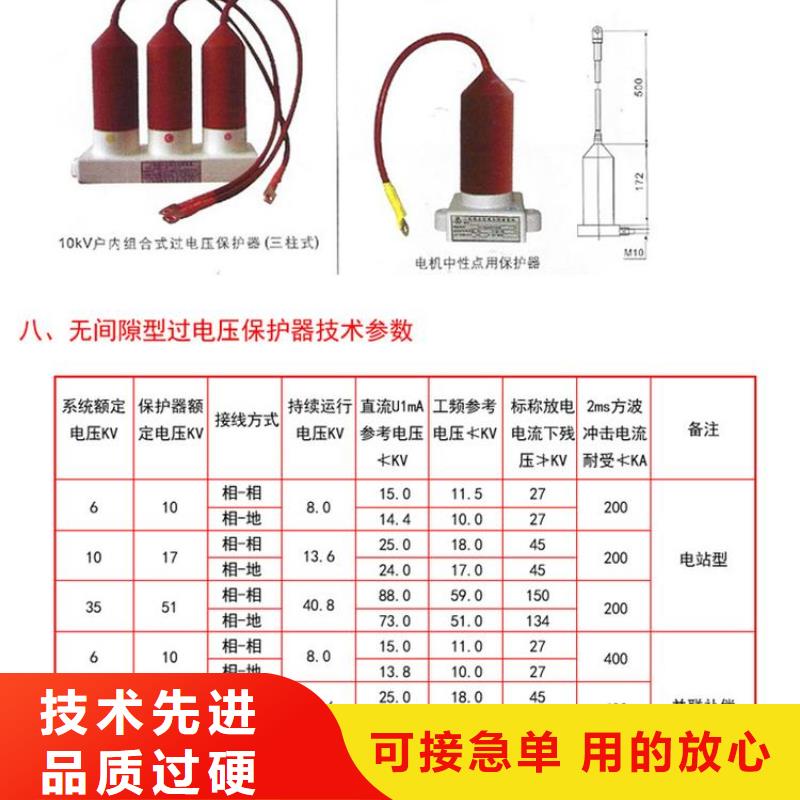 过电压保护器(组合式避雷器)YH5WR-17/45*2