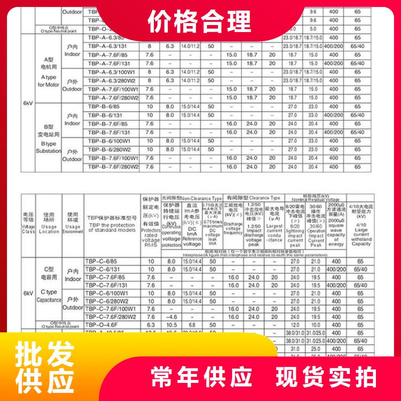 过电压保护器(组合式避雷器)YH5WR-5/13.5*5/13.5