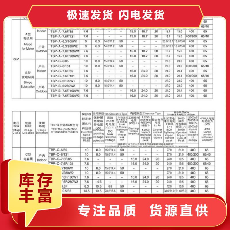 【羿振电气】过电压保护器TBP-A-10.5/131