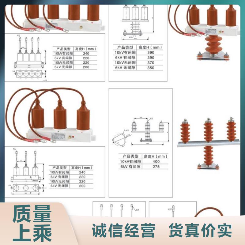 保护器(组合式避雷器)RSB-C/F-10.5