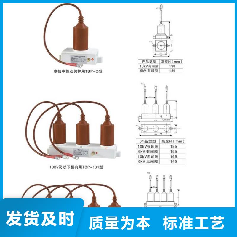 过电压保护器(组合式避雷器)BSTG-B-42F/310