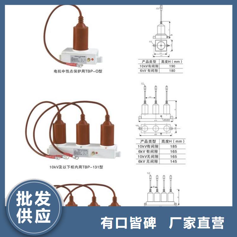 过电压保护器(组合式避雷器)TBP-C-12.7F/85-J