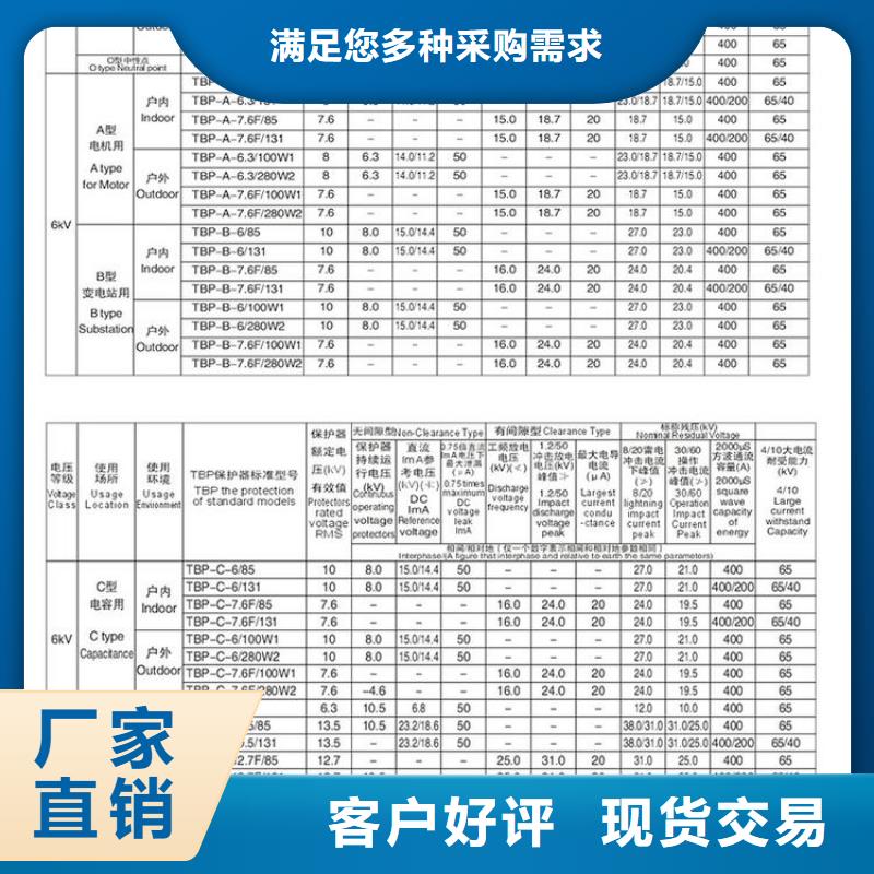 TBP-C-10.5/85过电压保护器生产厂家