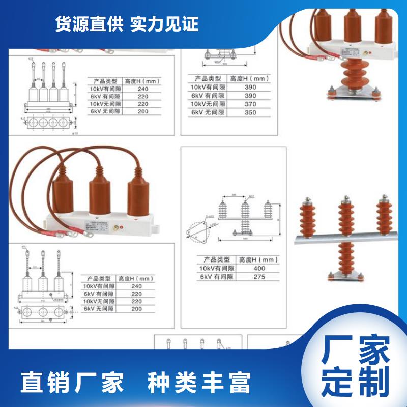 过电压保护器(组合式避雷器)BSTG-B-42F/310