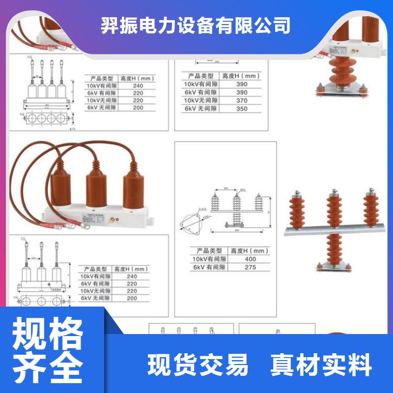 保护器(组合式避雷器)TBP-B-12.7/150-J