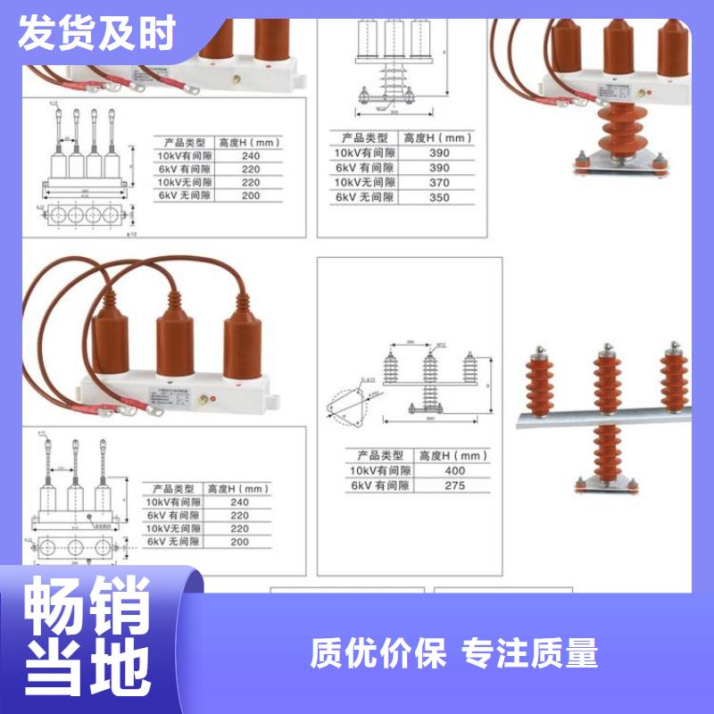 过电压保护器(组合式避雷器)TBP-A-42/630W2