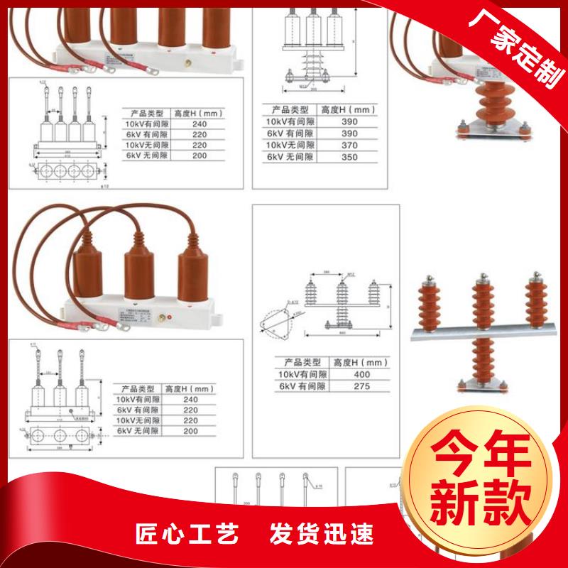 〖过电压保护器〗TBP-W-B/10-F组合过电压保护器源头好货