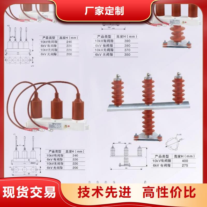 过电压保护器(组合式避雷器)BSTG-C-17/600