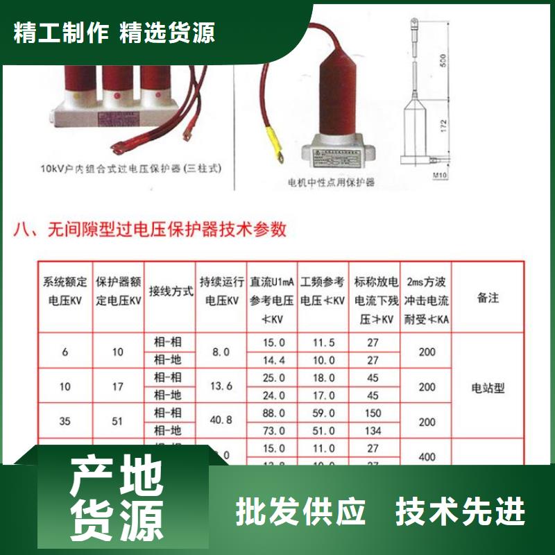 【避雷器/过电压保护器】TBP-B-35/200