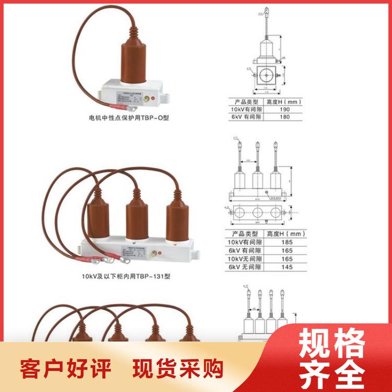 过电压保护器(组合式避雷器)YH5WR-17/45*2