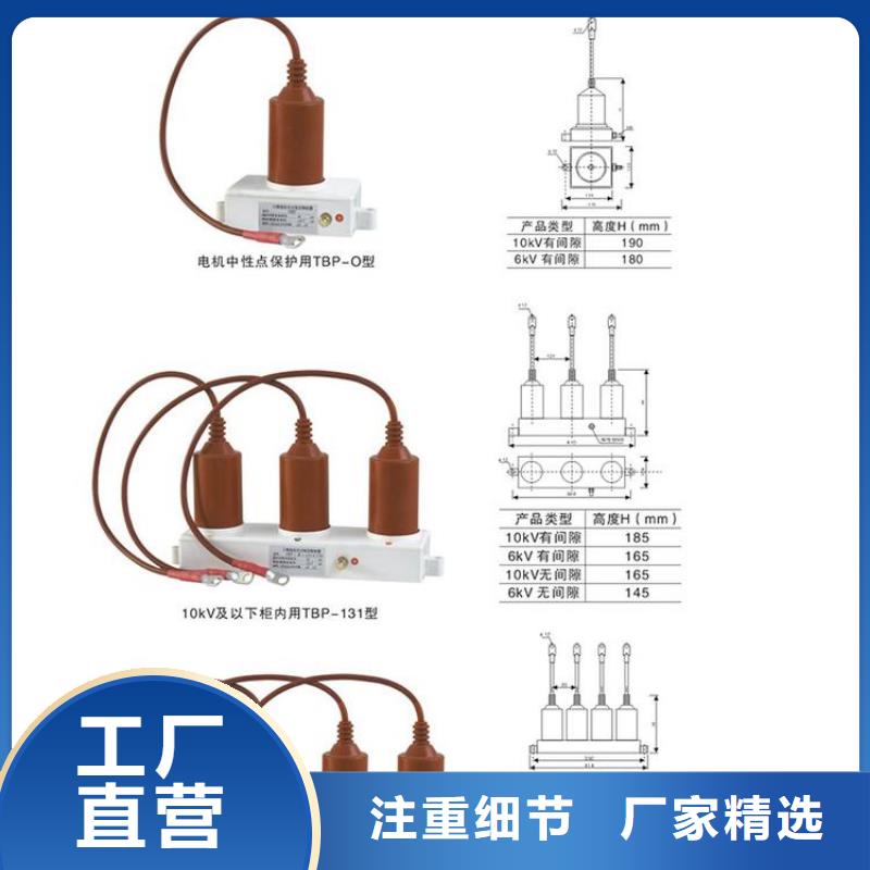 〖过电压保护器〗TBP-A-42/310直供厂家