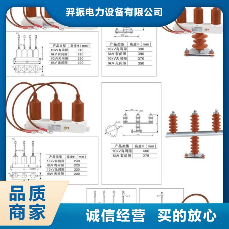 保护器(组合式避雷器)TBP-0-7.6F