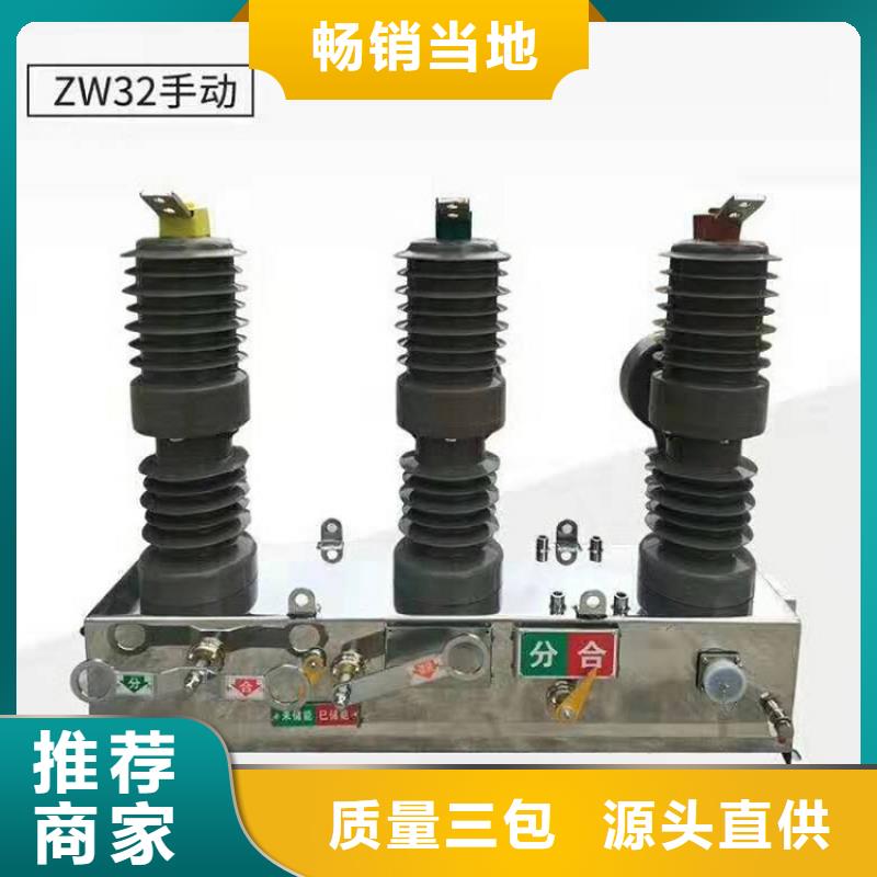 【真空断路器】ZW32-12G