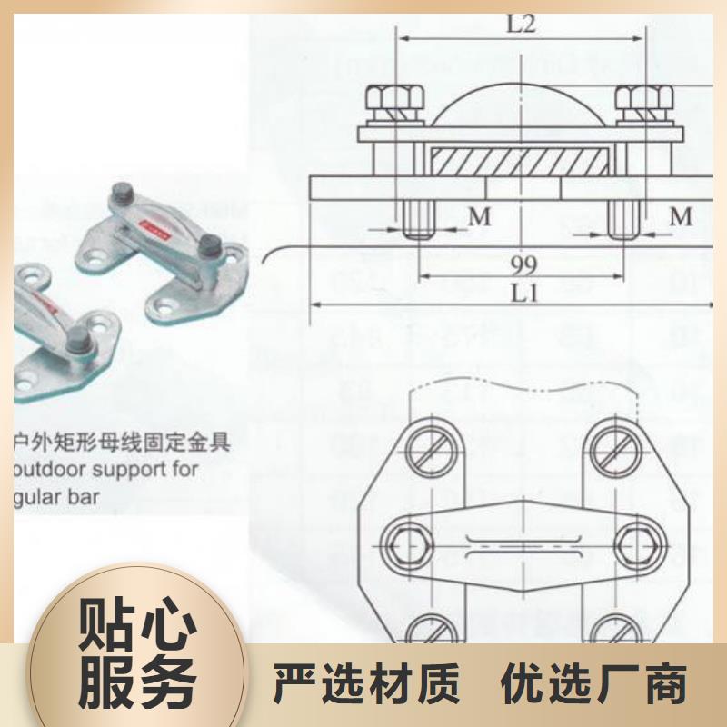 硬母线固定金具MWP-302T