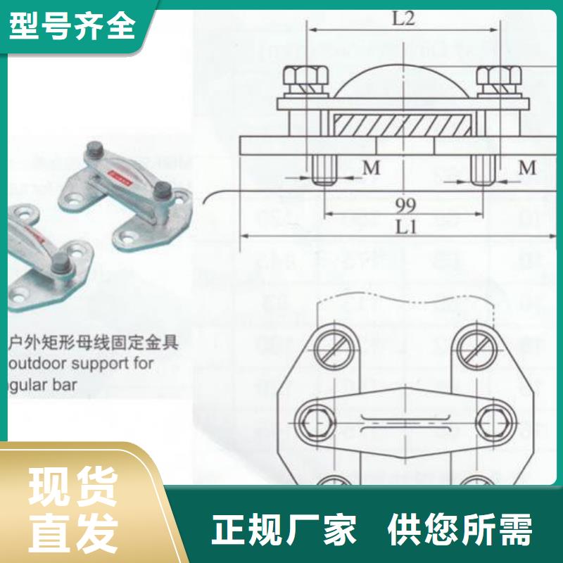 ZS-20/30支柱绝缘子【上海羿振电力设备有限公司】