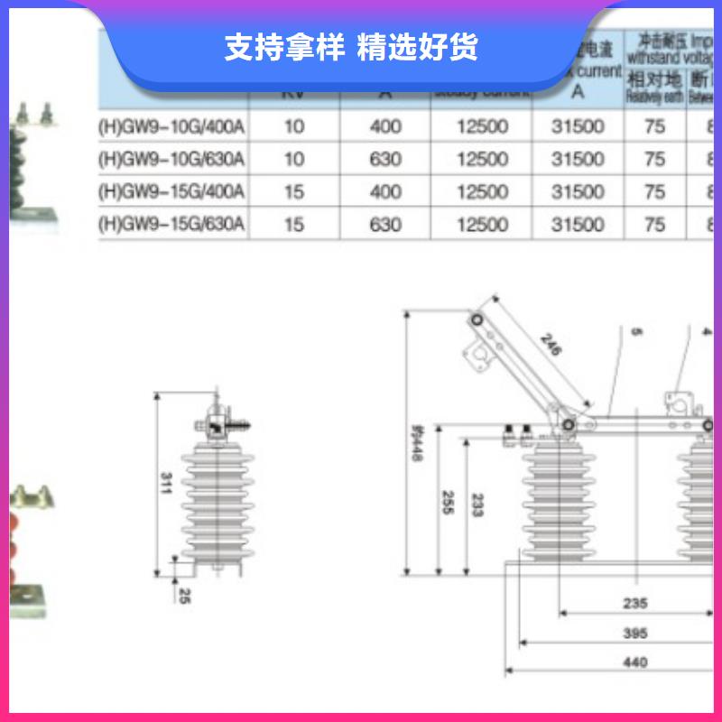 隔离开关HGW9-12KV/200