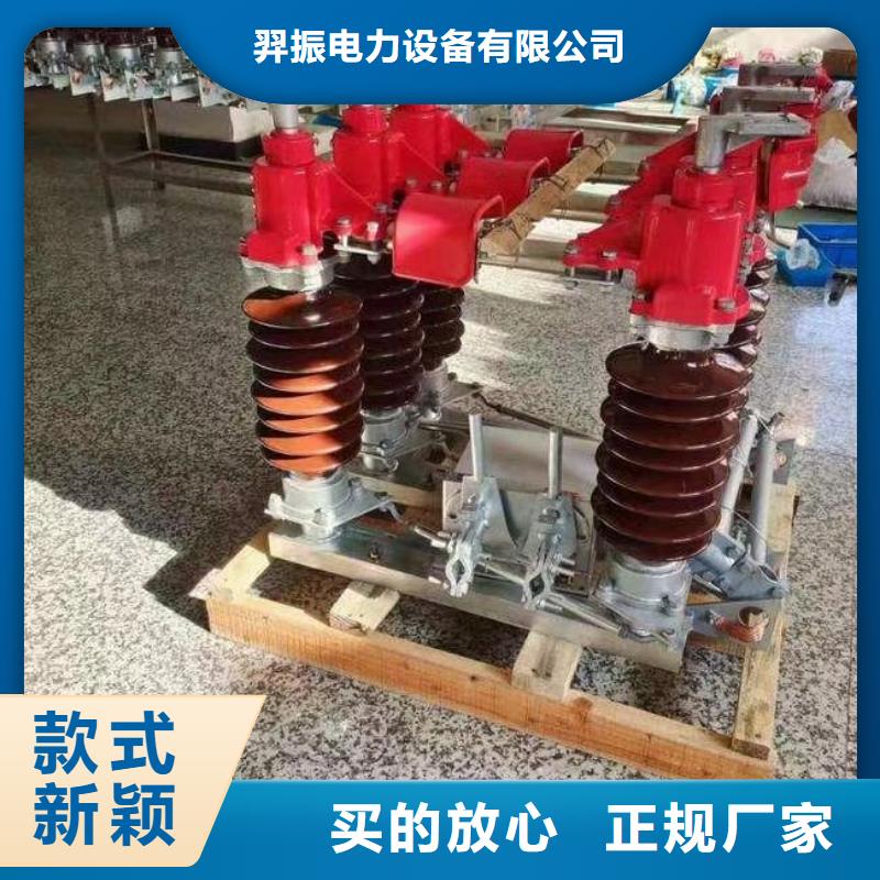 高压隔离开关HGW1-10KV/630