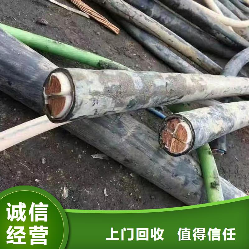 睿越梯级式电缆桥架电缆回收_【 防火喷塑电缆桥架】专业评估sqyangzi.com