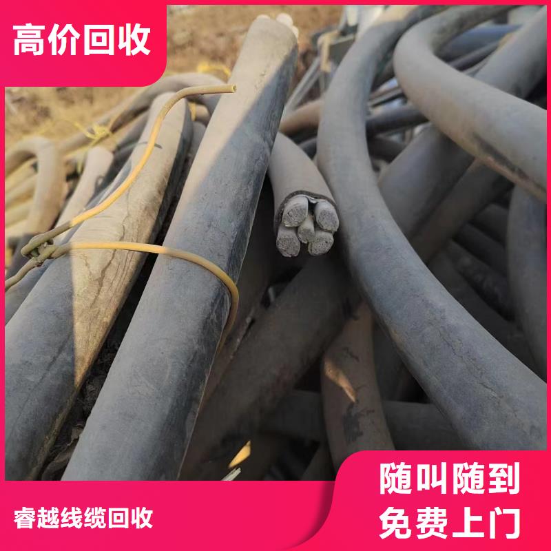 睿越梯级式电缆桥架电缆回收_【 防火喷塑电缆桥架】专业评估sqyangzi.com