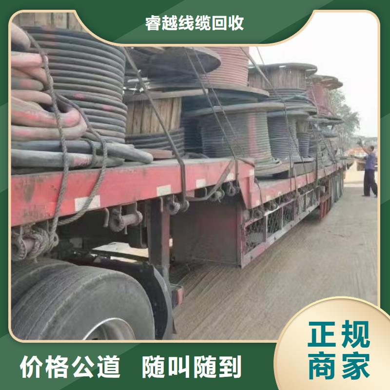 睿越梯级式电缆桥架电缆回收_【 防火喷塑电缆桥架】专业评估sqyangzi.com