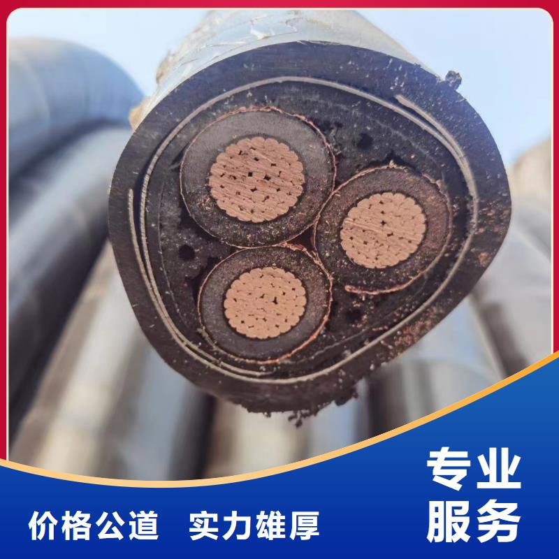 梯级式电缆桥架视频-宁德市梯级式电缆桥架-附近可服务区域福安|古田|三明|漳州|泉州|南平