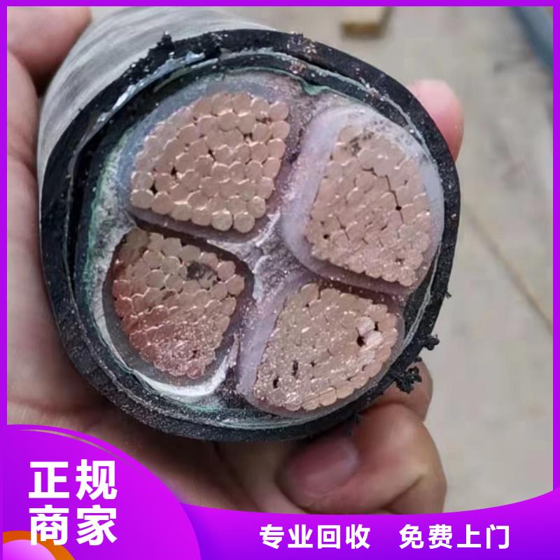 梯级式电缆桥架视频-梯级式电缆桥架(睿越)覆盖地域浙江省嘉兴市南湖|海盐|衢州|湖州|台州|温州|宁波|杭州|舟山